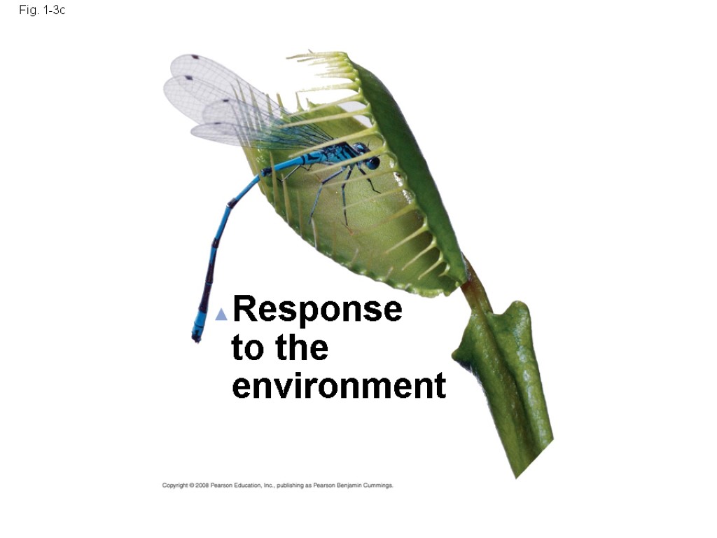 Fig. 1-3c Response to the environment